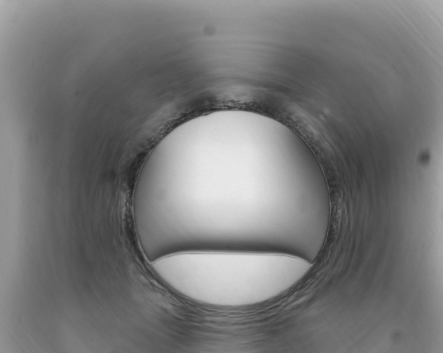 X0000094190463200710260958
