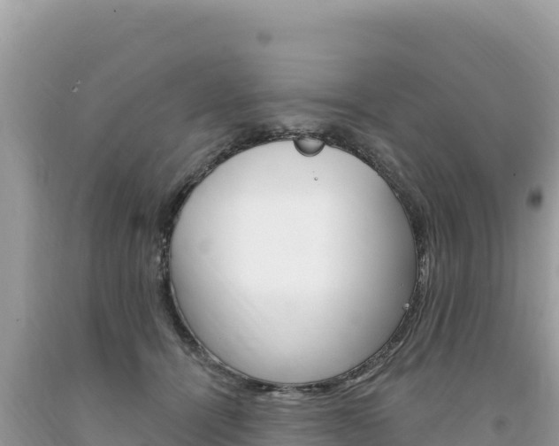 X0000094190464200710260958