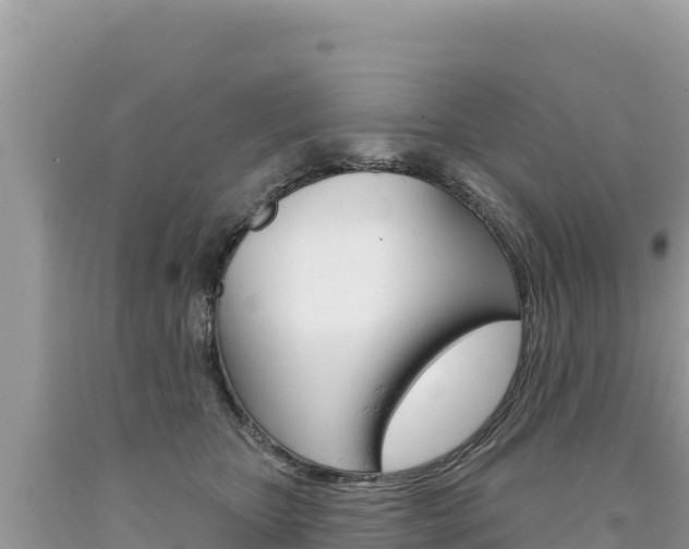 X0000094190467200710260958