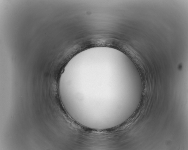 X0000094190469200710260958