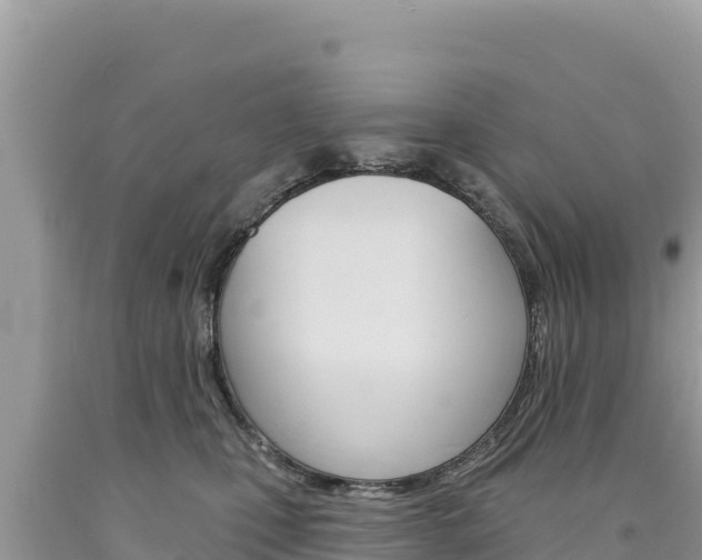 X0000094190471200710260958