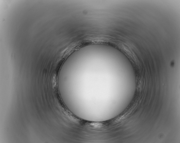 X0000094190478200710260958