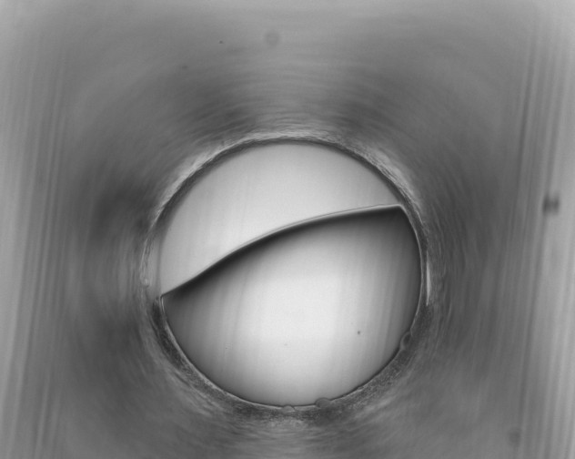 X0000094190483200710260958