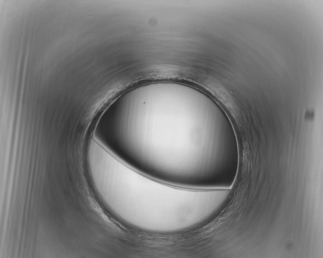 X0000094190485200710260958