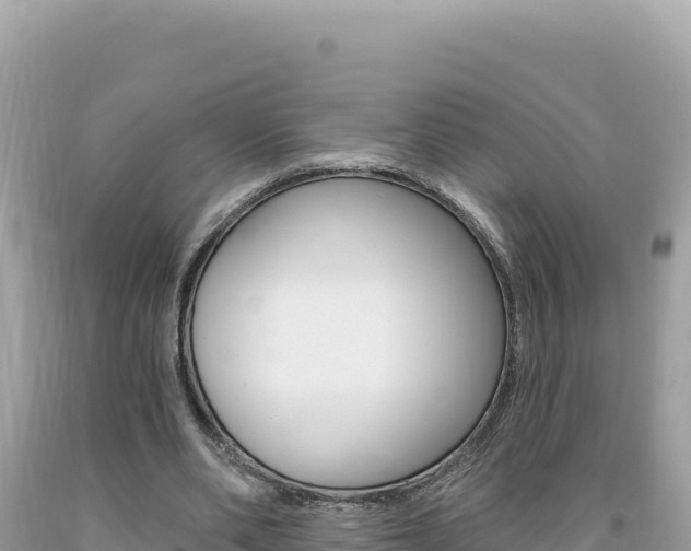 X0000094190486200710260958