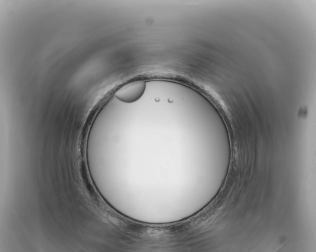 X0000094190487200710260957