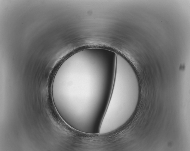 X0000094190488200710260957