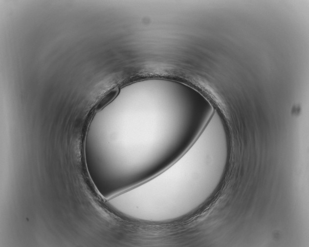 X0000094190489200710260957