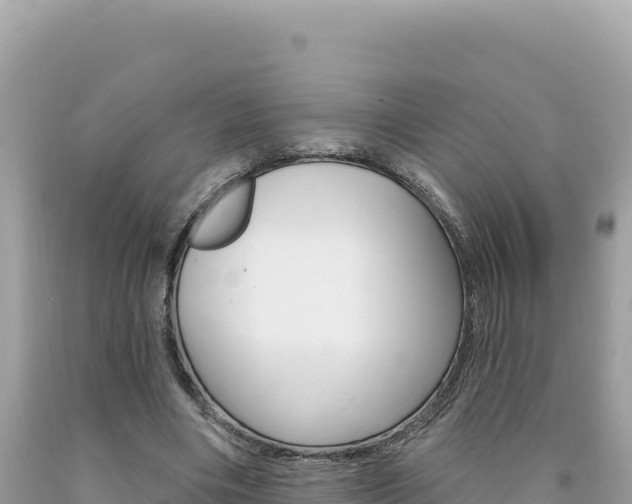 X0000094190490200710260957