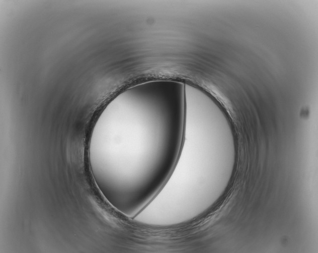 X0000094190493200710260957