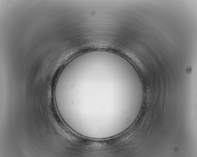 X0000094190494200710260957