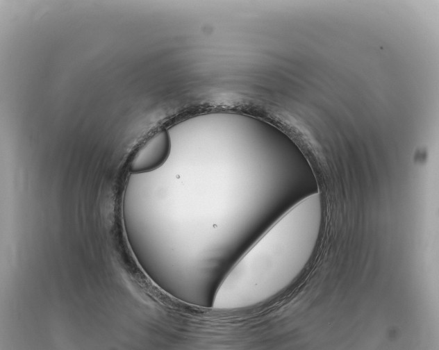 X0000094190496200710260957