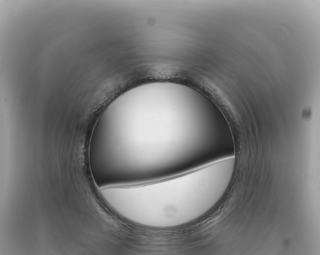 X0000094190497200710260957