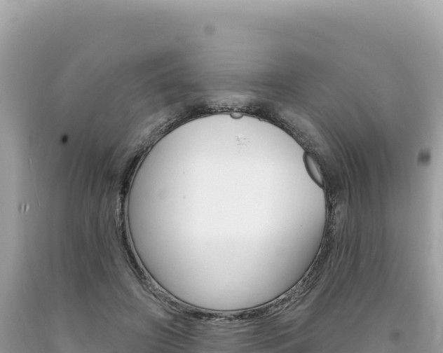 X0000094190498200710260957