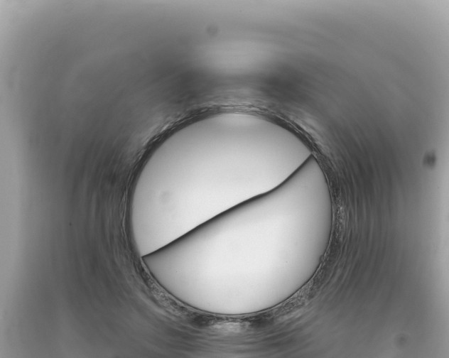 X0000094190499200710260957