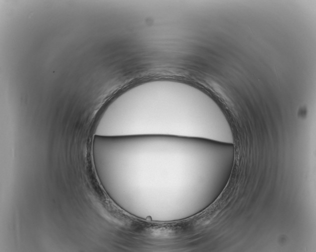 X0000094190500200710260957