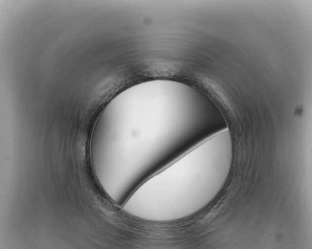 X0000094190501200710260957