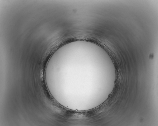 X0000094190502200710260957