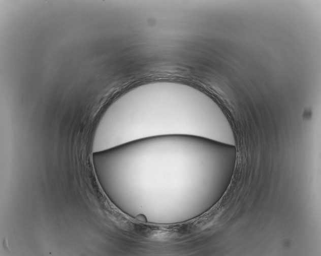 X0000094190504200710260957