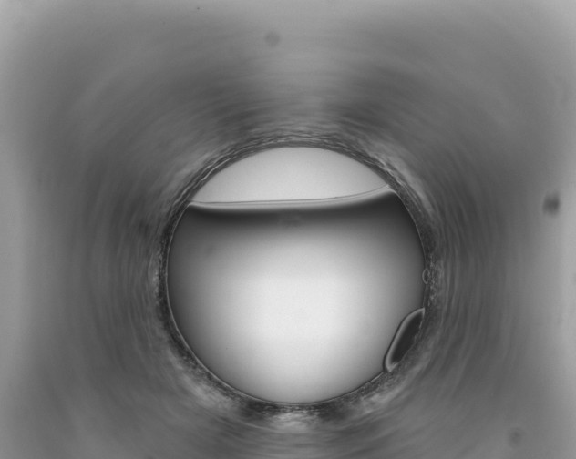 X0000094190505200710260957