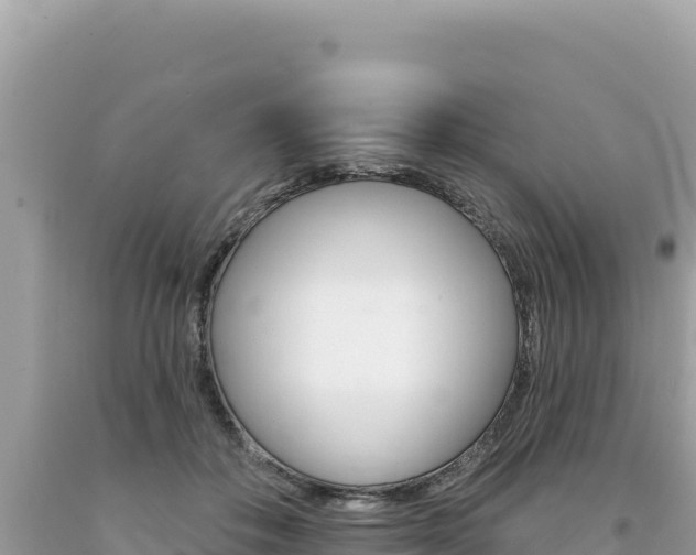 X0000094190506200710260957