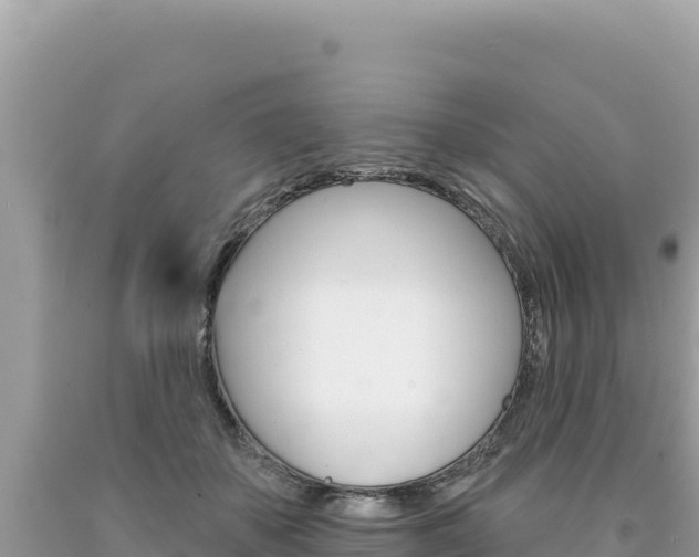 X0000094190507200710260957