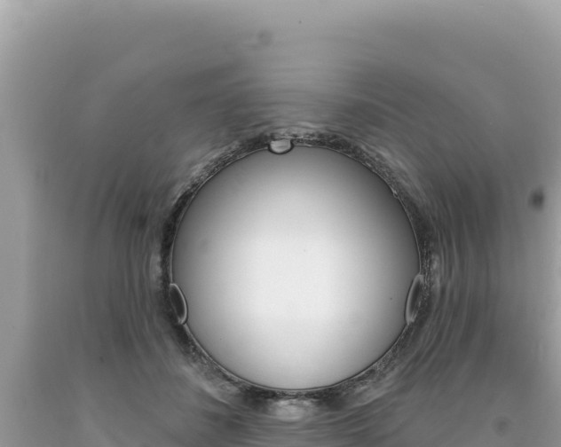X0000094190508200710260957