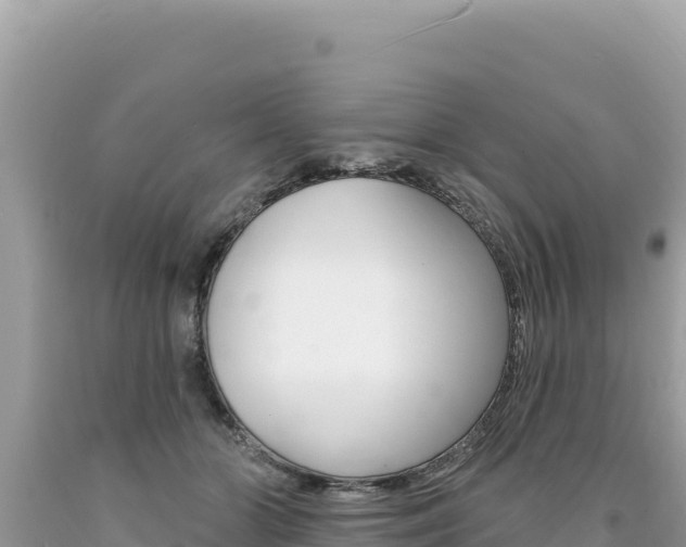 X0000094190510200710260957