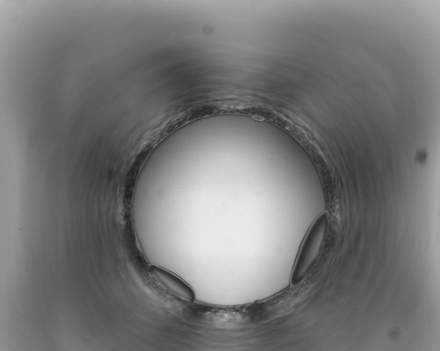 X0000094190512200710260957