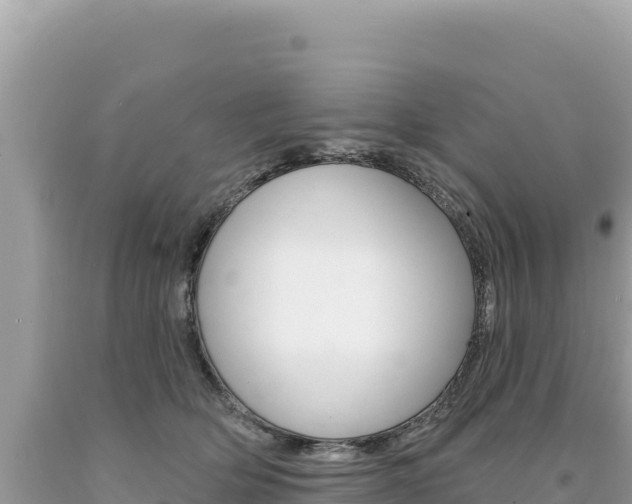X0000094190514200710260957