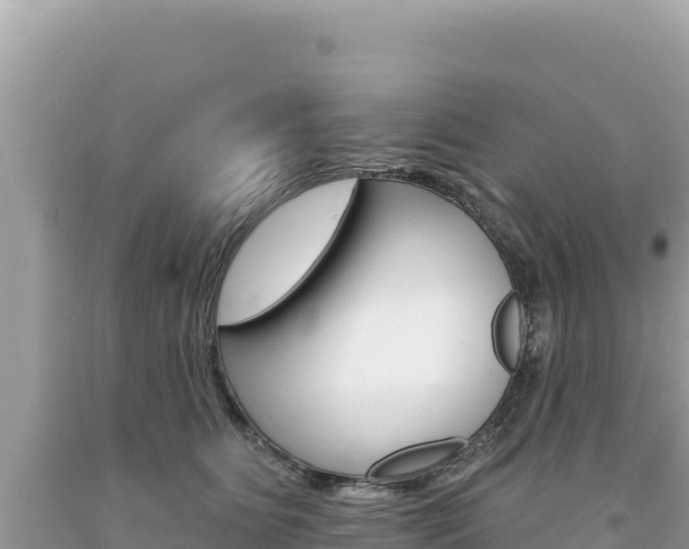 X0000094190515200710260957