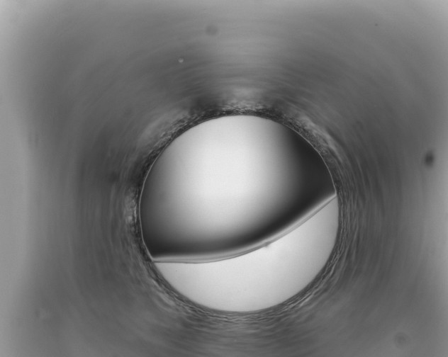 X0000094190517200710260957