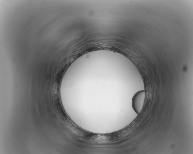 X0000094190518200710260957