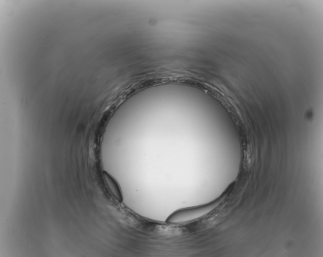 X0000094190520200710260957