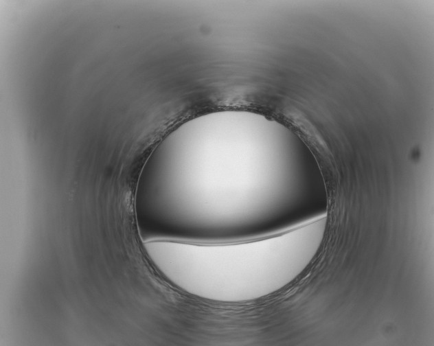 X0000094190521200710260957