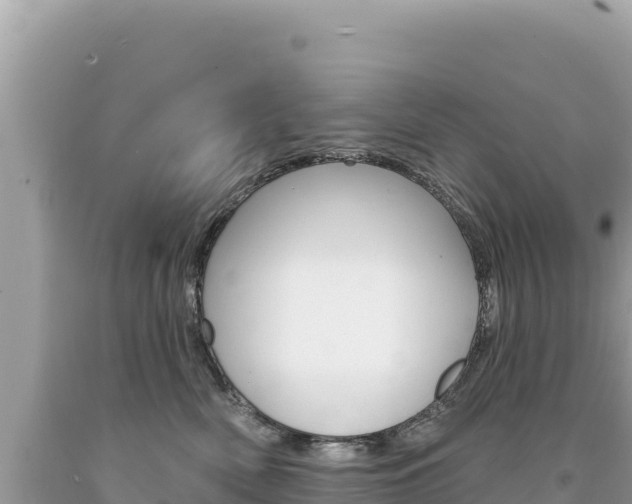 X0000094190522200710260957