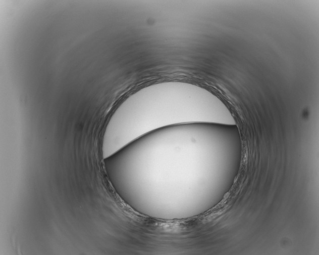X0000094190524200710260957
