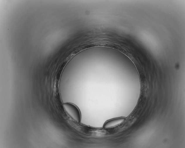 X0000094190525200710260957