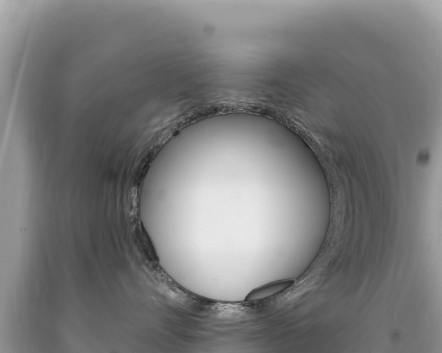X0000094190528200710260957