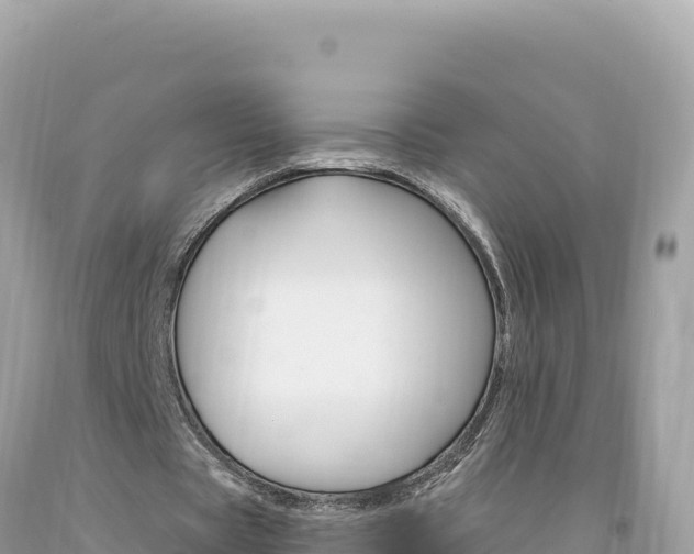 X0000094190529200710260956