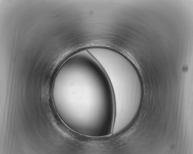 X0000094190530200710260956