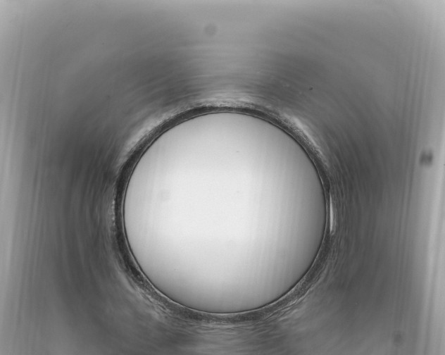 X0000094190531200710260956
