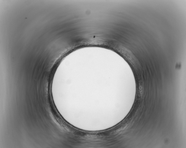 X0000094190534200710260956