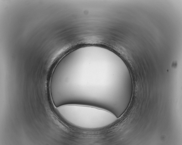 X0000094190535200710260956