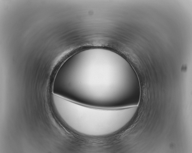 X0000094190536200710260956