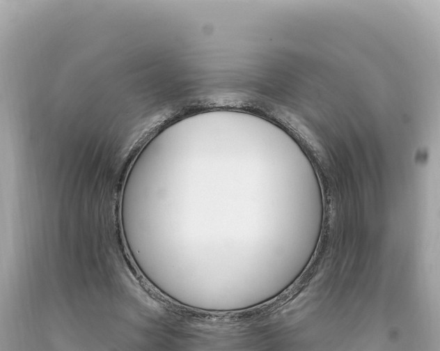 X0000094190537200710260956
