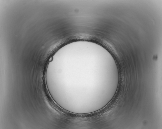 X0000094190538200710260956