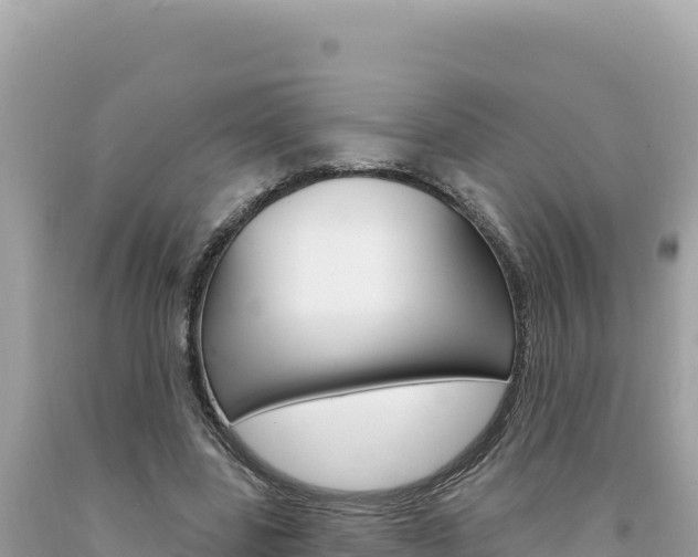 X0000094190539200710260956