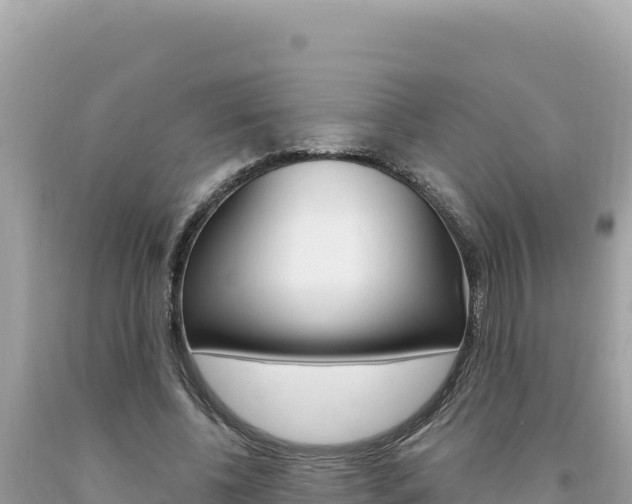 X0000094190540200710260956