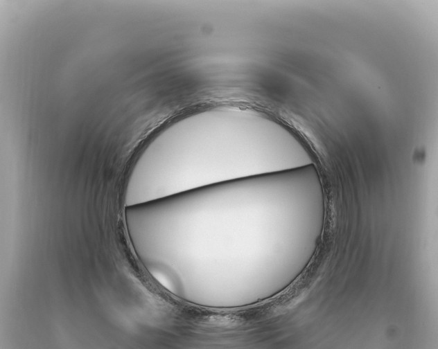 X0000094190541200710260956